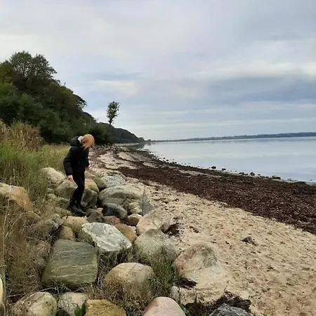Mini-lejlighed Med Kokken - Deler Bad Og Toilet Med Nabolejlighed 3