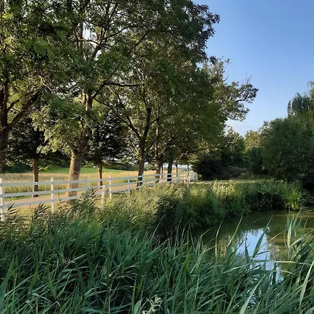 Mini-lejlighed Med Kokken - Deler Bad Og Toilet Med Nabolejlighed 3 * Asperup