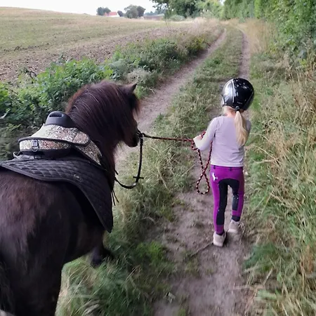 Mini-lejlighed Med Kokken - Deler Bad Og Toilet Med Nabolejlighed 3 Appartement Asperup