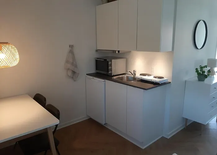 Mini-lejlighed Med Kokken - Deler Bad Og Toilet Med Nabolejlighed 3 דירה