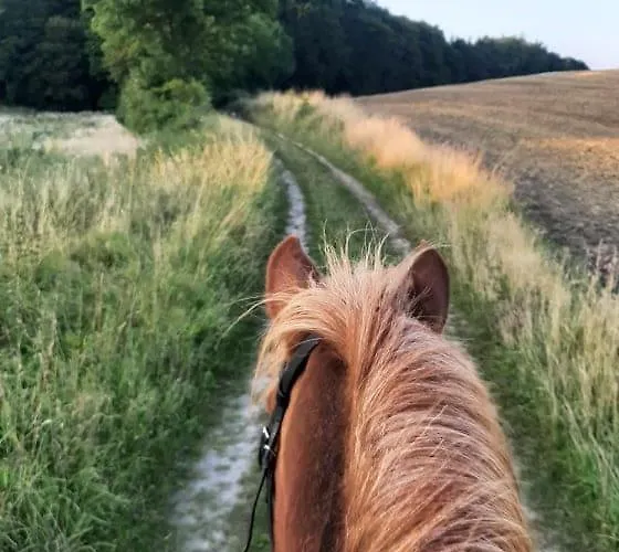 Mini-lejlighed Med Kokken - Deler Bad Og Toilet Med Nabolejlighed 3 * Asperup