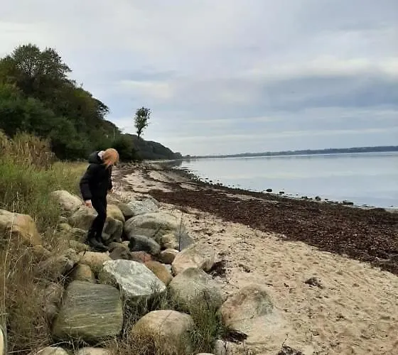 Mini-lejlighed Med Kokken - Deler Bad Og Toilet Med Nabolejlighed 3