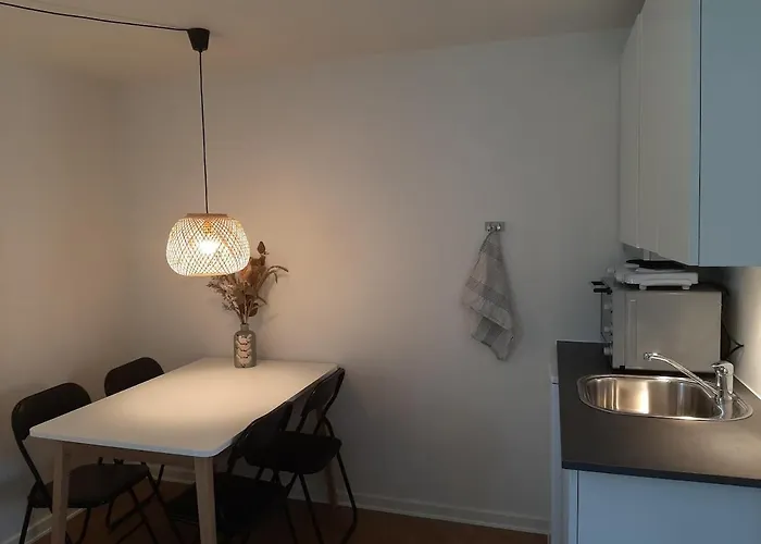 Mini-lejlighed Med Kokken - Deler Bad Og Toilet Med Nabolejlighed 3 דירה *