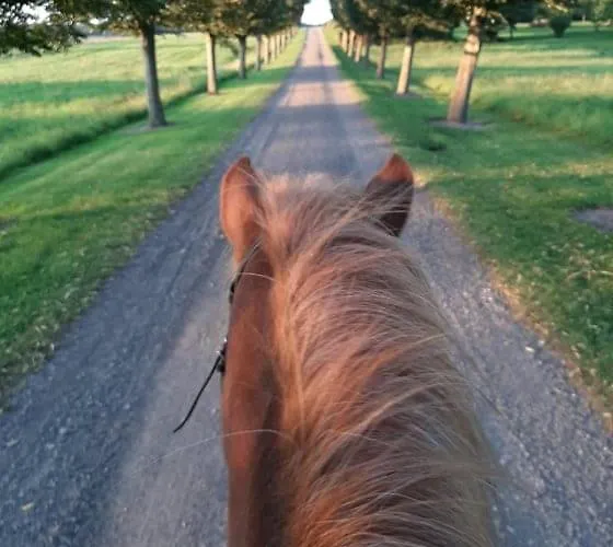 Mini-lejlighed Med Kokken - Deler Bad Og Toilet Med Nabolejlighed 3 Asperup